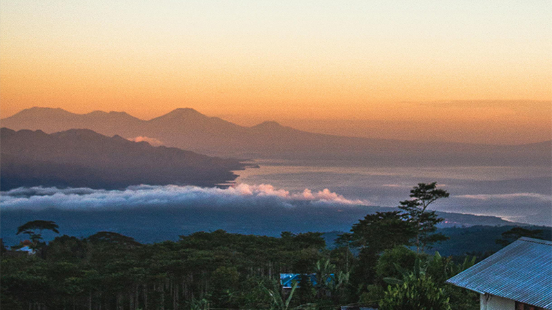 区领导莅临博艺堂bet98制药工厂，亲临一线指导工作