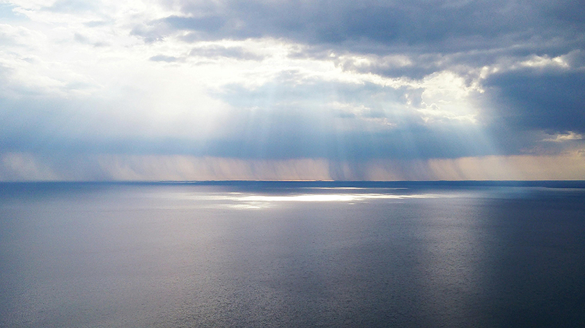 博艺堂bet98制药2024西鼎会圆满收官