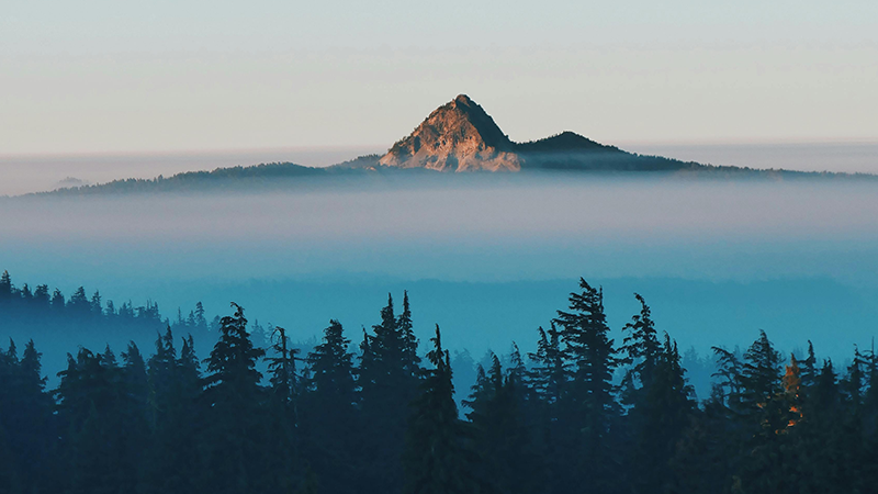 外用药细分龙头博艺堂bet98制药登陆A股，打造“药箱”IP矩阵高筑护城河